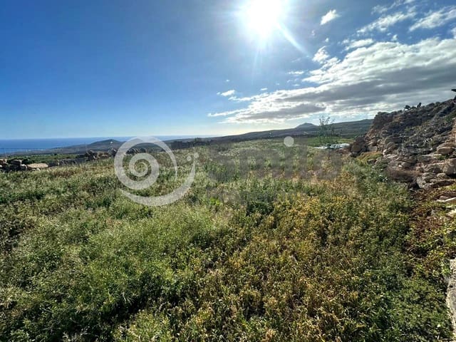Terreno Non Edificato in vendita in Granadilla de Abona - 79.500 € (Rif: 9544089)