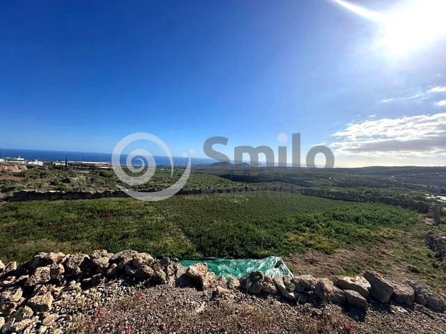 Ubebygd land til salgs i Granadilla de Abona - € 79 500 (Ref: 9544089)