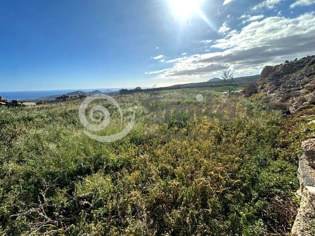 Ubebygd land til salgs i Granadilla de Abona - € 79 500 (Ref: 9544089)