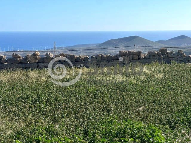 Ubebygd land til salgs i Granadilla de Abona - € 79 500 (Ref: 9544089)