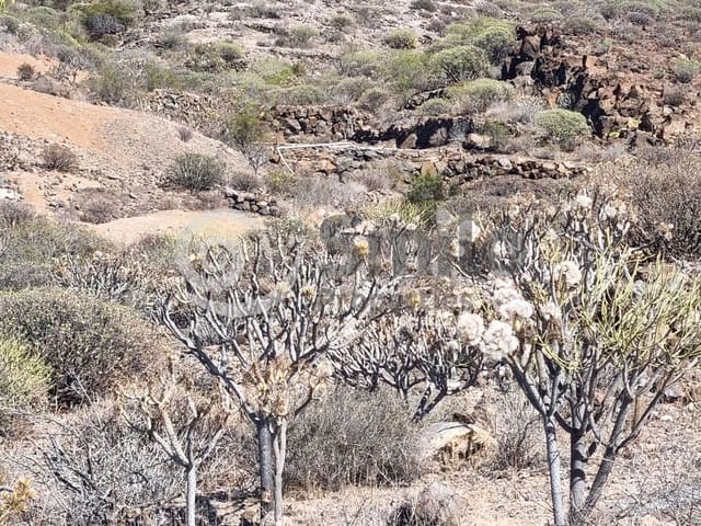 Undeveloped Land for sale in Guía de Isora - € 329,900 (Ref: 9585172)