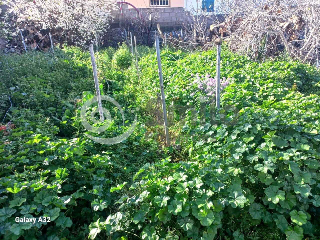 Rakentamaton maa myytävänä paikassa Santiago del Teide - 190 000 € (Ref: 9598143)