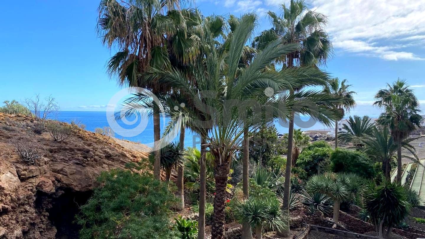 1 sypialnia Mieszkanie na sprzedaż w Arona z basenem - 199 900 € (Ref: 9720893)