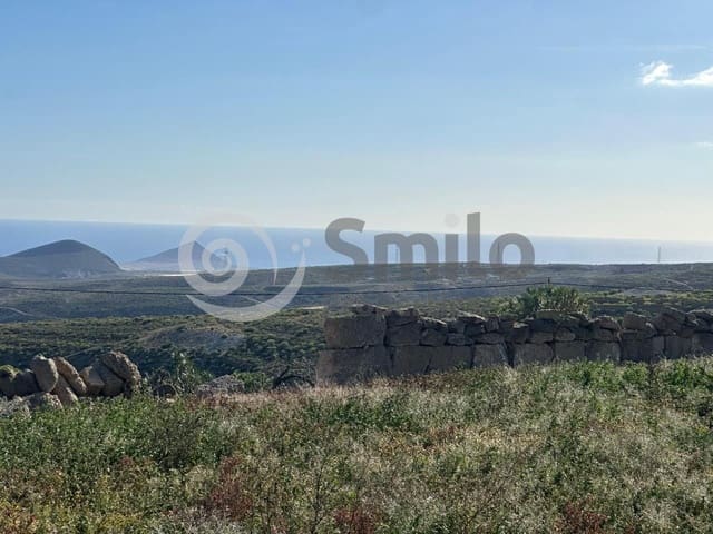 Terreno/Finca Rústica en Granadilla de Abona en venta - 79.500 € (Ref: 9823933)