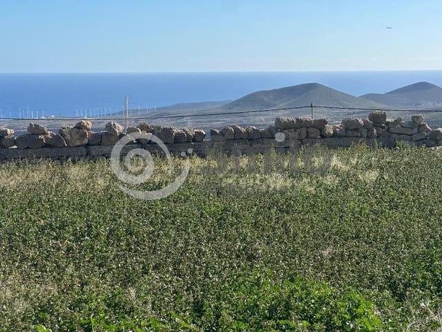 Terreno/Finca Rústica en Granadilla de Abona en venta - 79.500 € (Ref: 9823933)