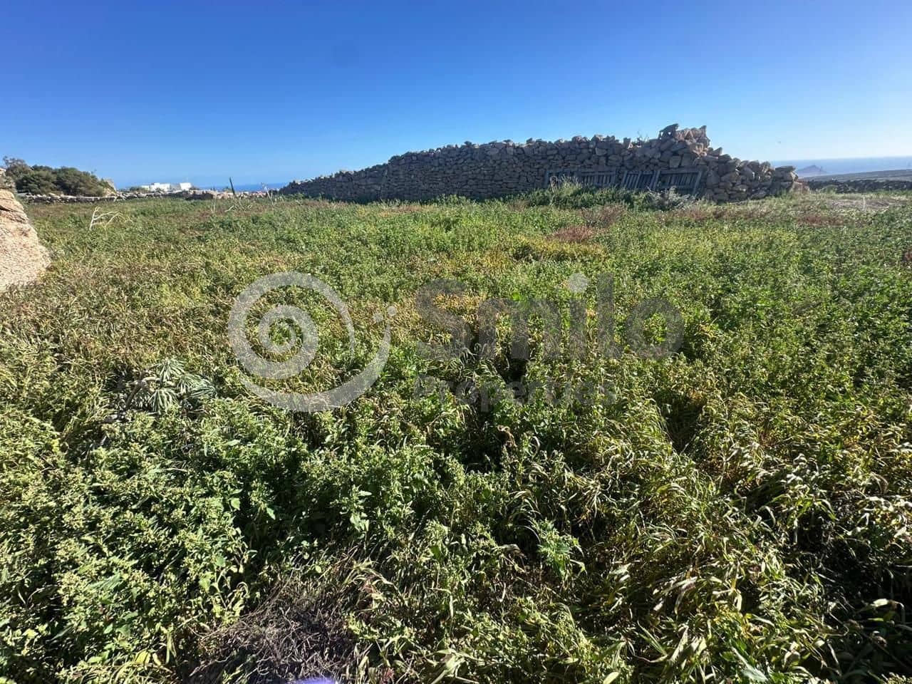 Undeveloped Land for sale in Granadilla de Abona - € 79,500 (Ref: 9823933)