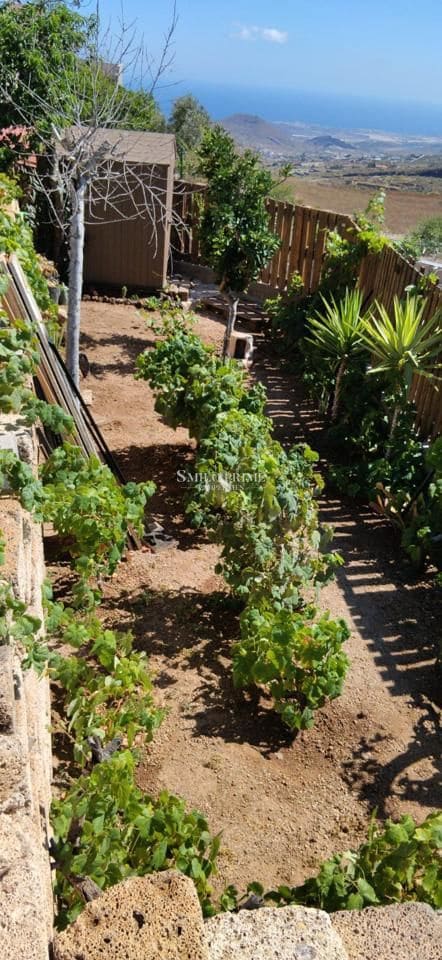 Undeveloped Land for sale in Granadilla de Abona - € 105,000 (Ref: 9965975)