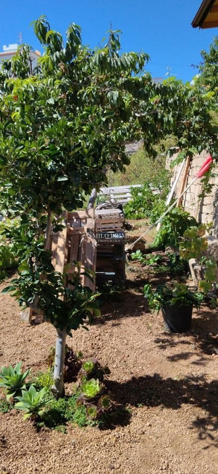 Undeveloped Land for sale in Granadilla de Abona - € 105,000 (Ref: 9965975)