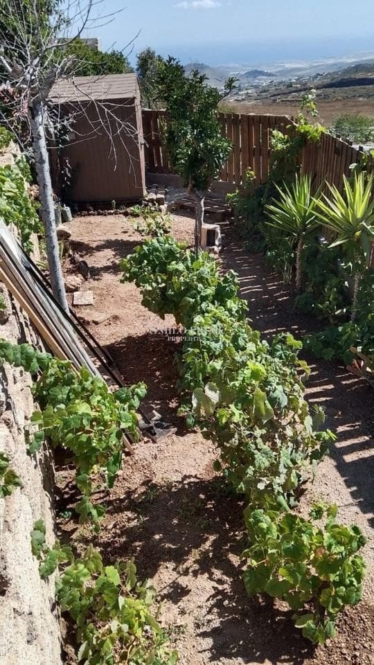 Undeveloped Land for sale in Granadilla de Abona - € 105,000 (Ref: 9965975)