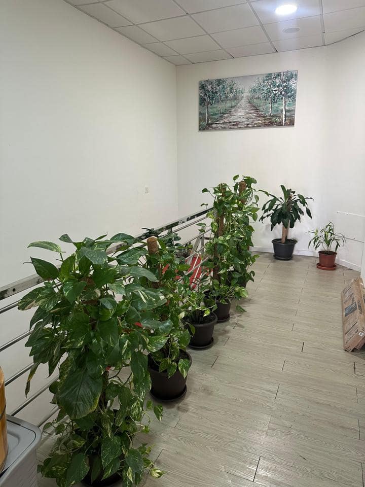 2 bedroom Business for sale in Adeje - € 420,000 (Ref: 9972258)