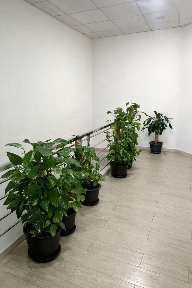 Negocio de 3 habitaciones en Adeje en venta - 450.000 € (Ref: 9972258)