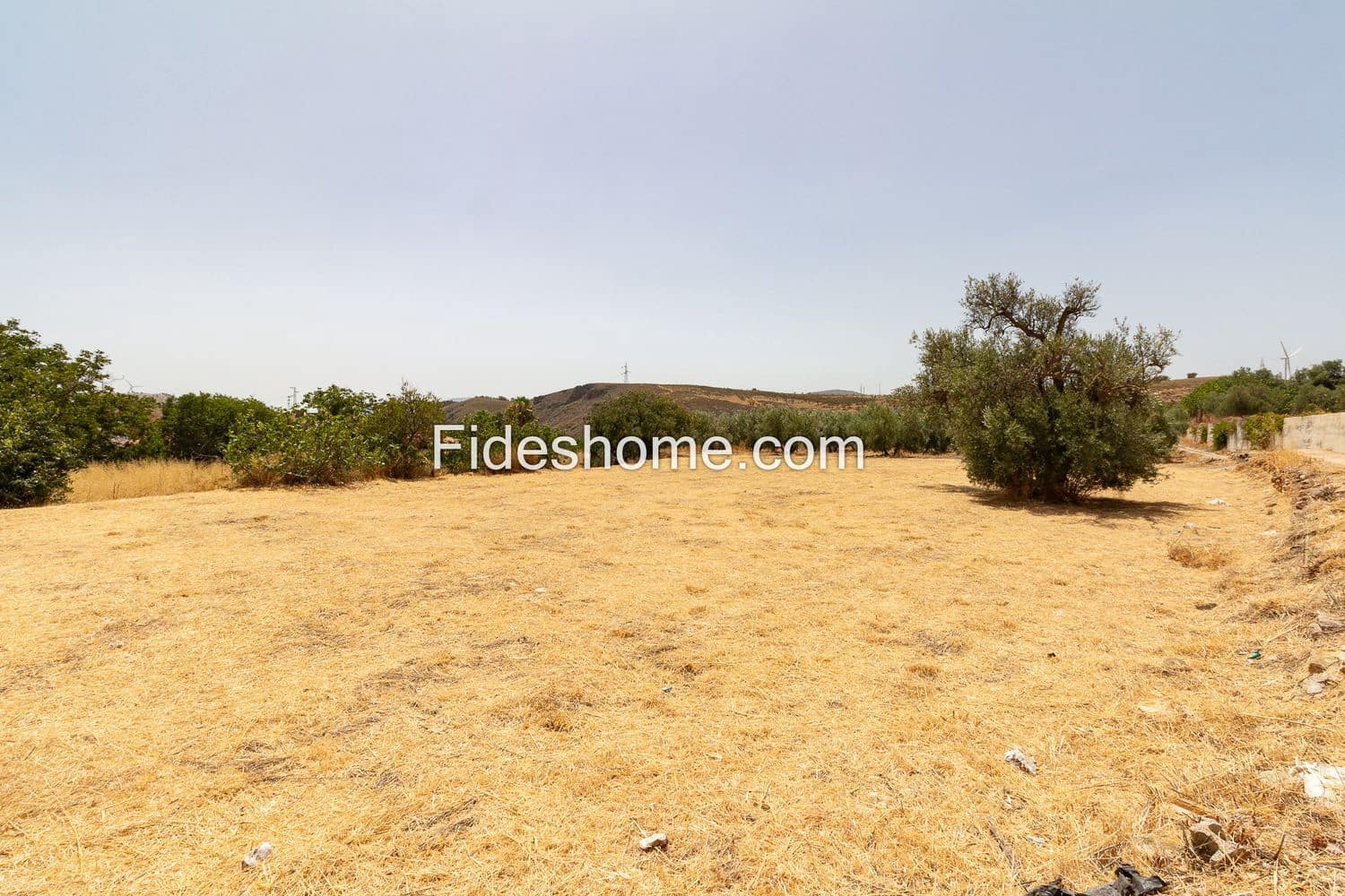 Terreno Não Urbanizado para venda em Villamena - 50 000 € (Ref: 10002517)