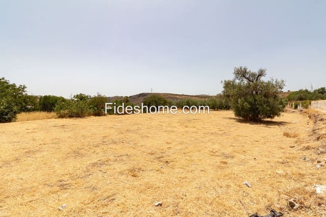 Terreno Não Urbanizado para venda em Villamena - 50 000 € (Ref: 10002517)