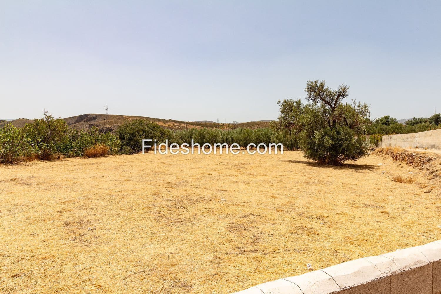 Terreno Não Urbanizado para venda em Villamena - 50 000 € (Ref: 10002517)