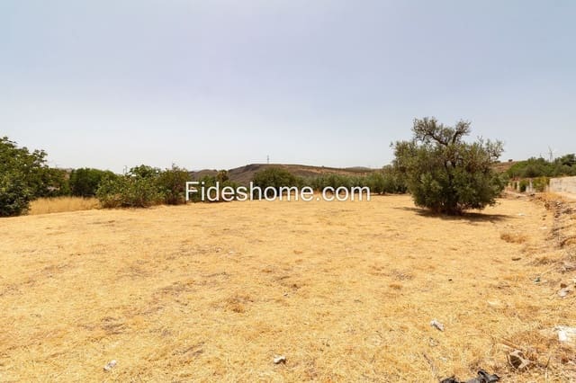 Landgrundstück zu verkaufen in Villamena - 50.000 € (Ref: 10002517)