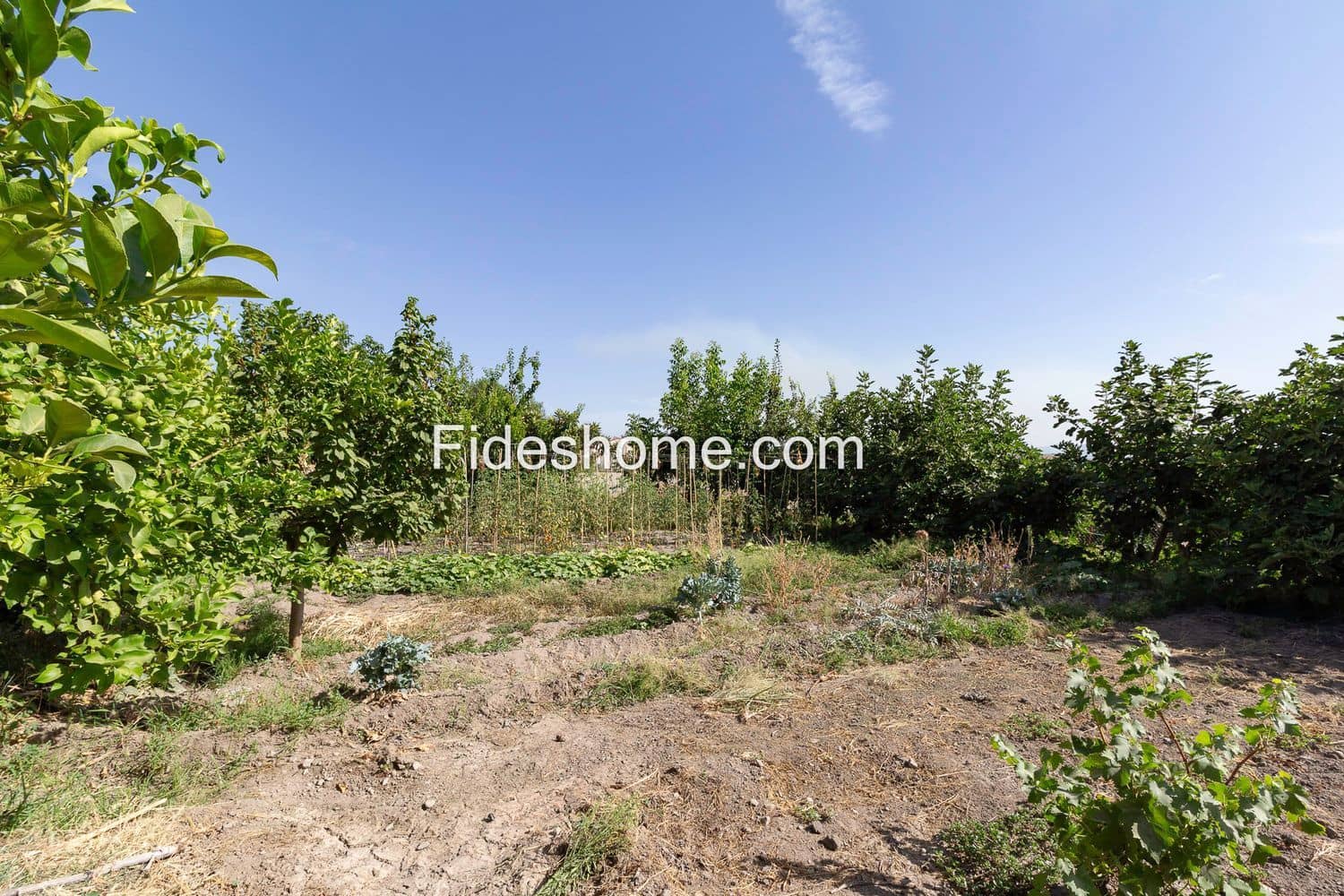 Terre non Aménagée à vendre à Durcal - 12 000 € (Ref: 10015032)