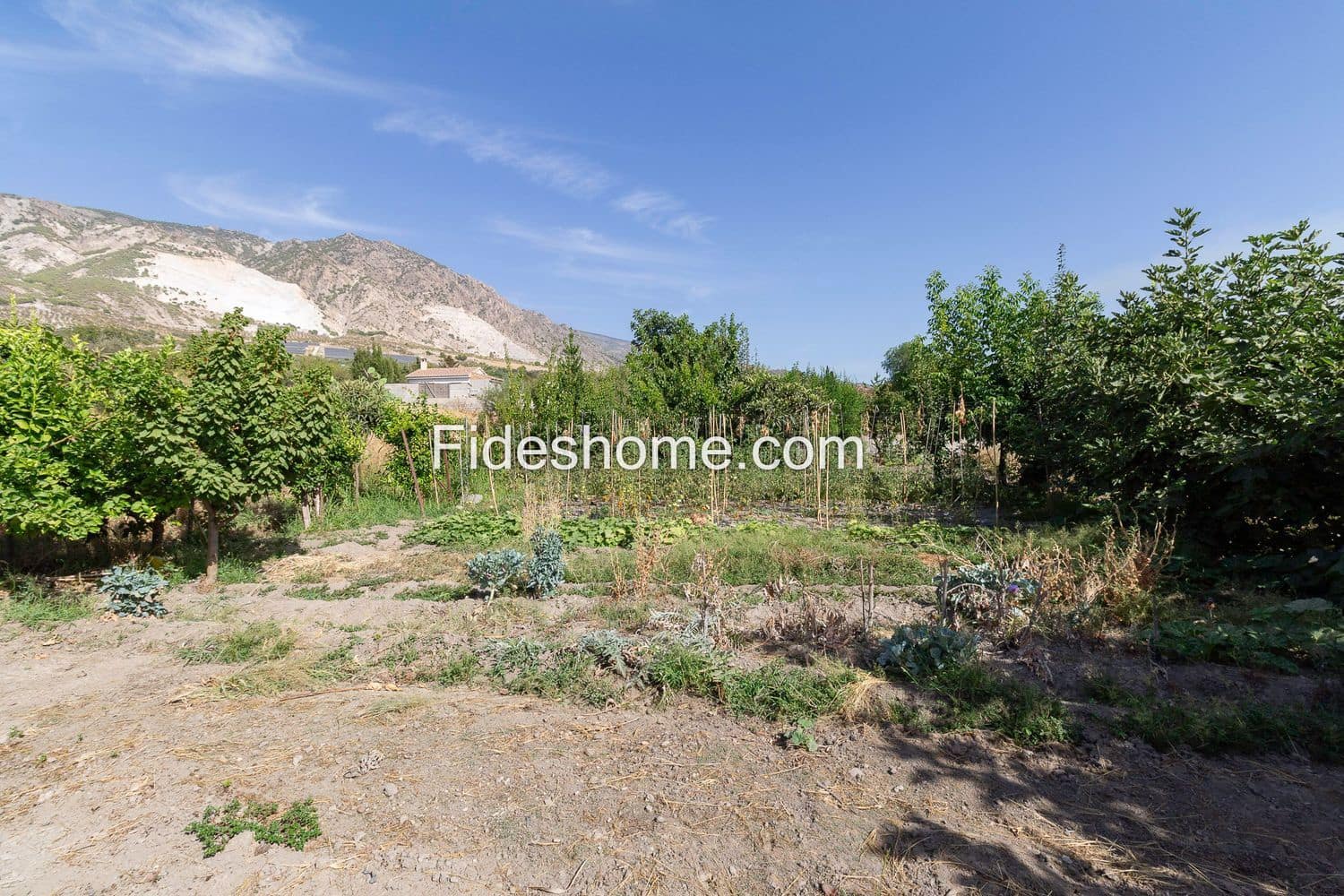 Terre non Aménagée à vendre à Durcal - 12 000 € (Ref: 10015032)