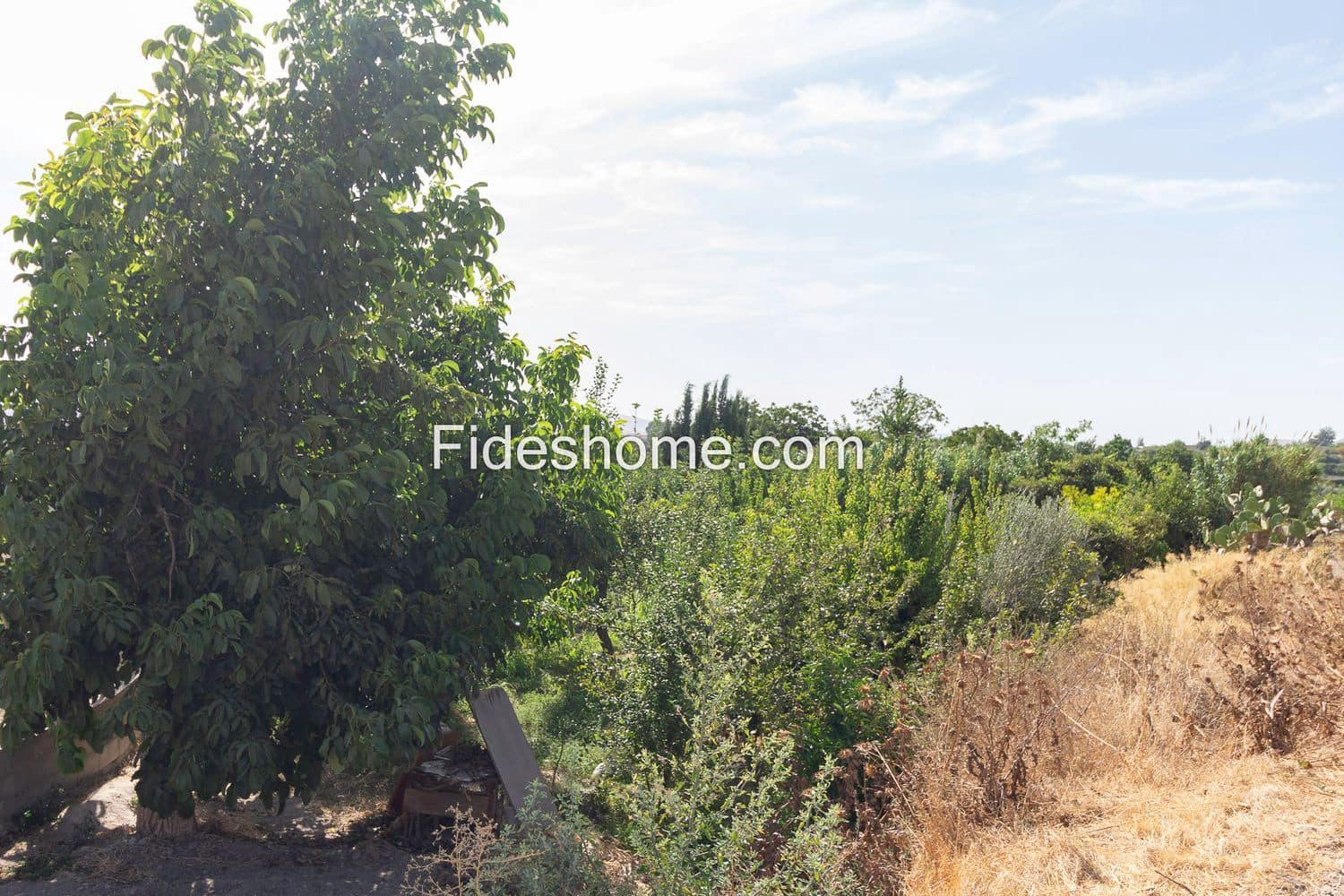 Terre non Aménagée à vendre à Durcal - 12 000 € (Ref: 10015032)