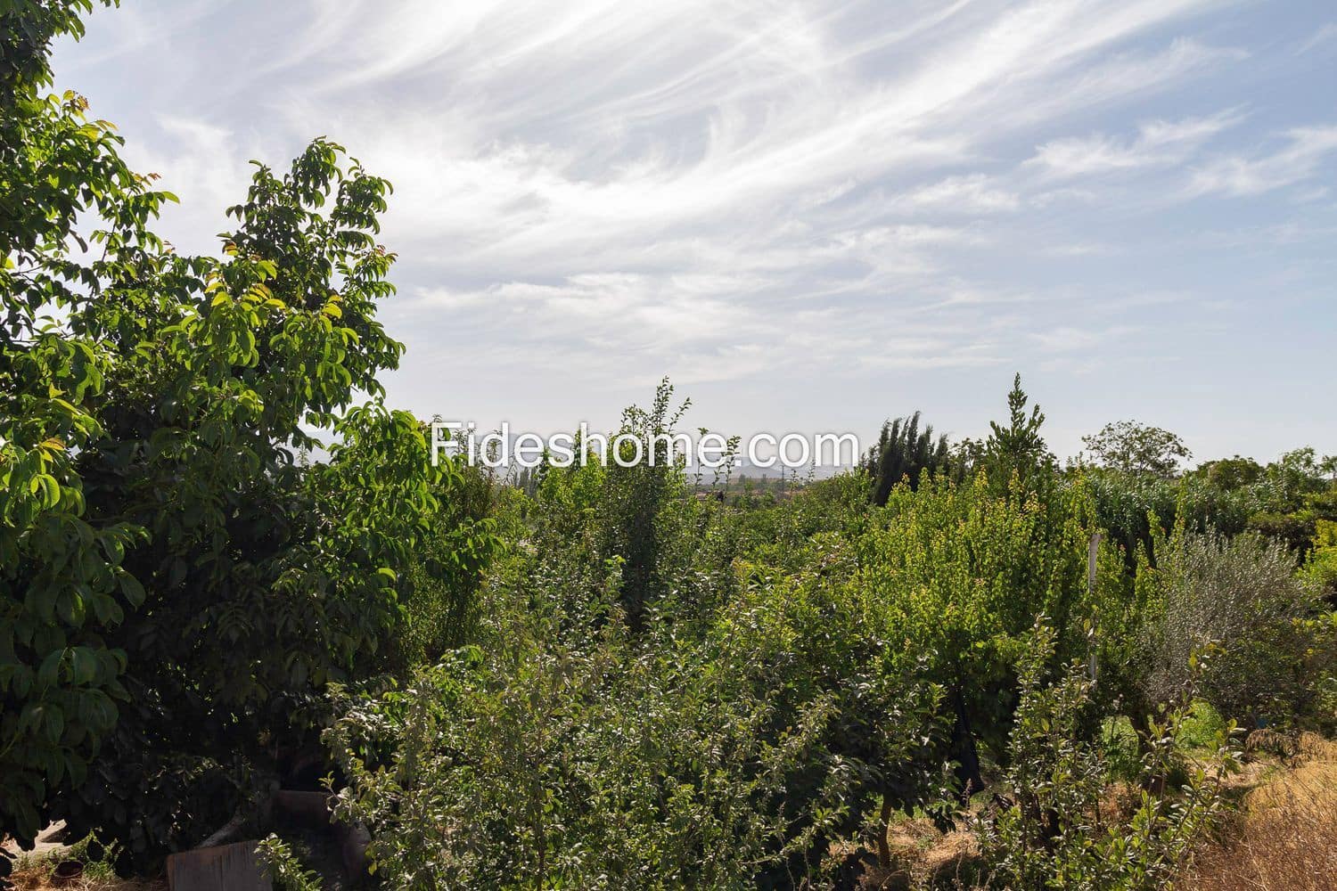 Terre non Aménagée à vendre à Durcal - 12 000 € (Ref: 10015032)