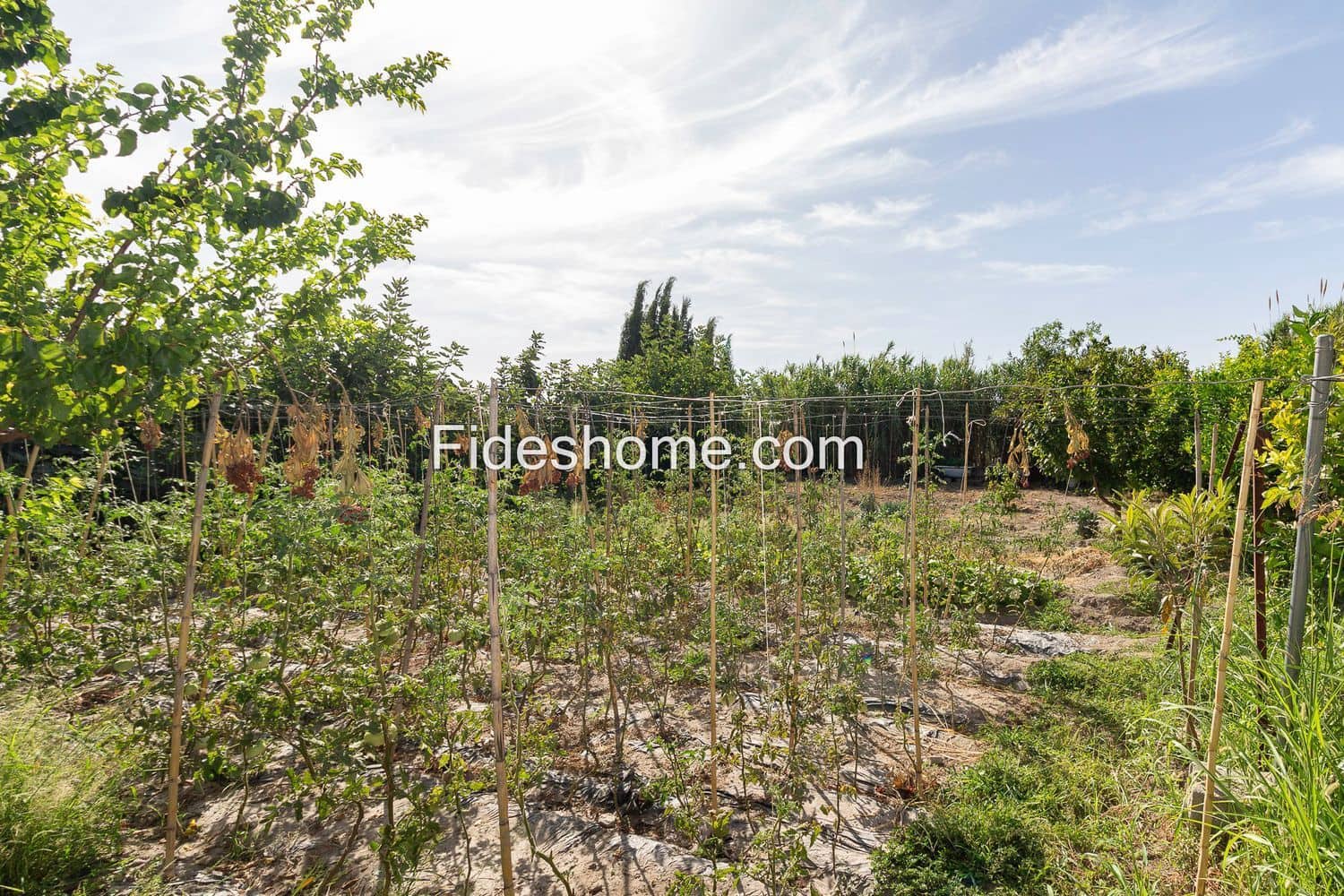 Terre non Aménagée à vendre à Durcal - 12 000 € (Ref: 10015032)