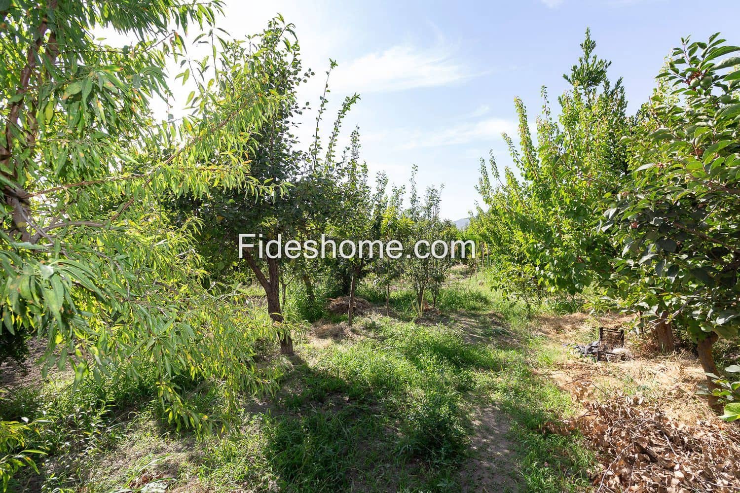 Terre non Aménagée à vendre à Durcal - 12 000 € (Ref: 10015032)