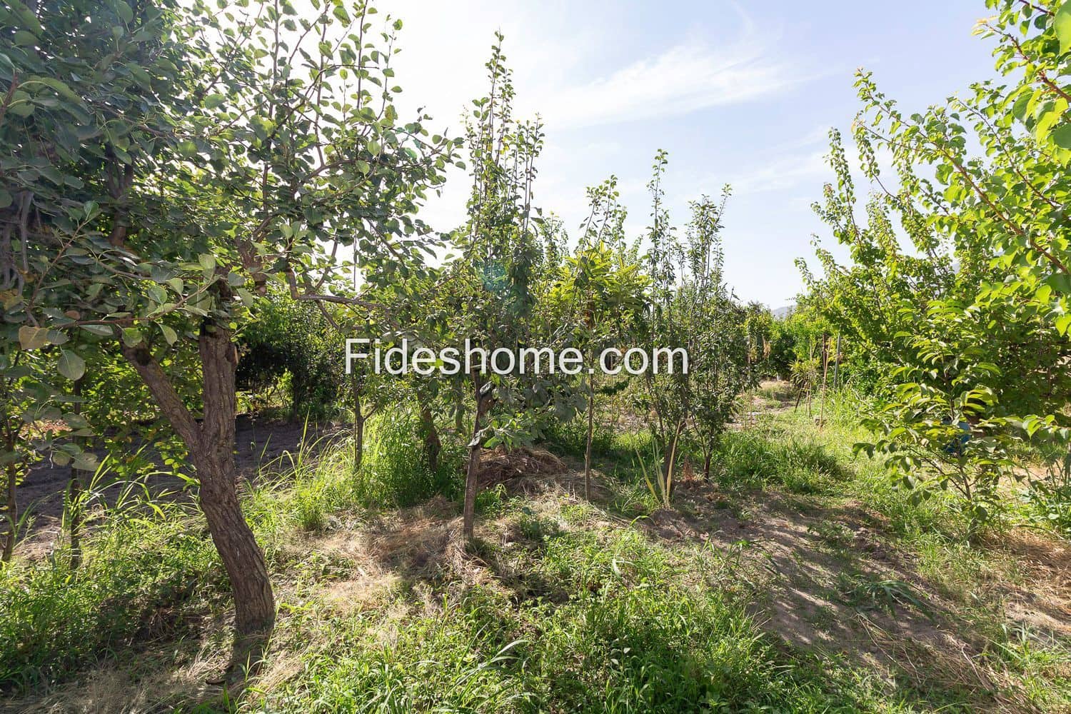 Terre non Aménagée à vendre à Durcal - 12 000 € (Ref: 10015032)