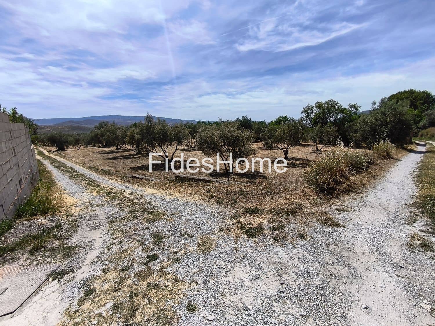 Terre non Aménagée à vendre à Niguelas - 49 000 € (Ref: 10120431)