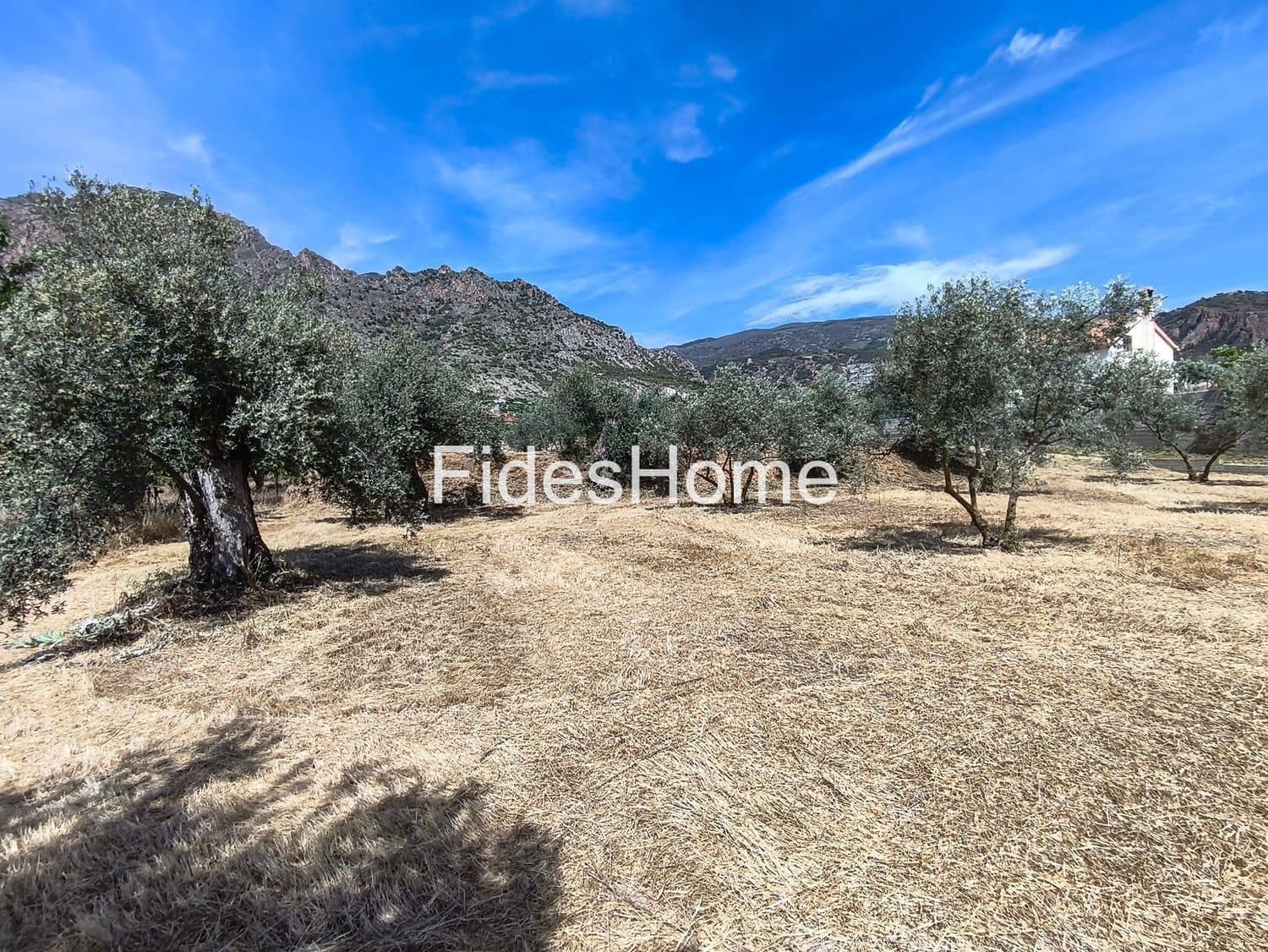 Terre non Aménagée à vendre à Niguelas - 49 000 € (Ref: 10120431)