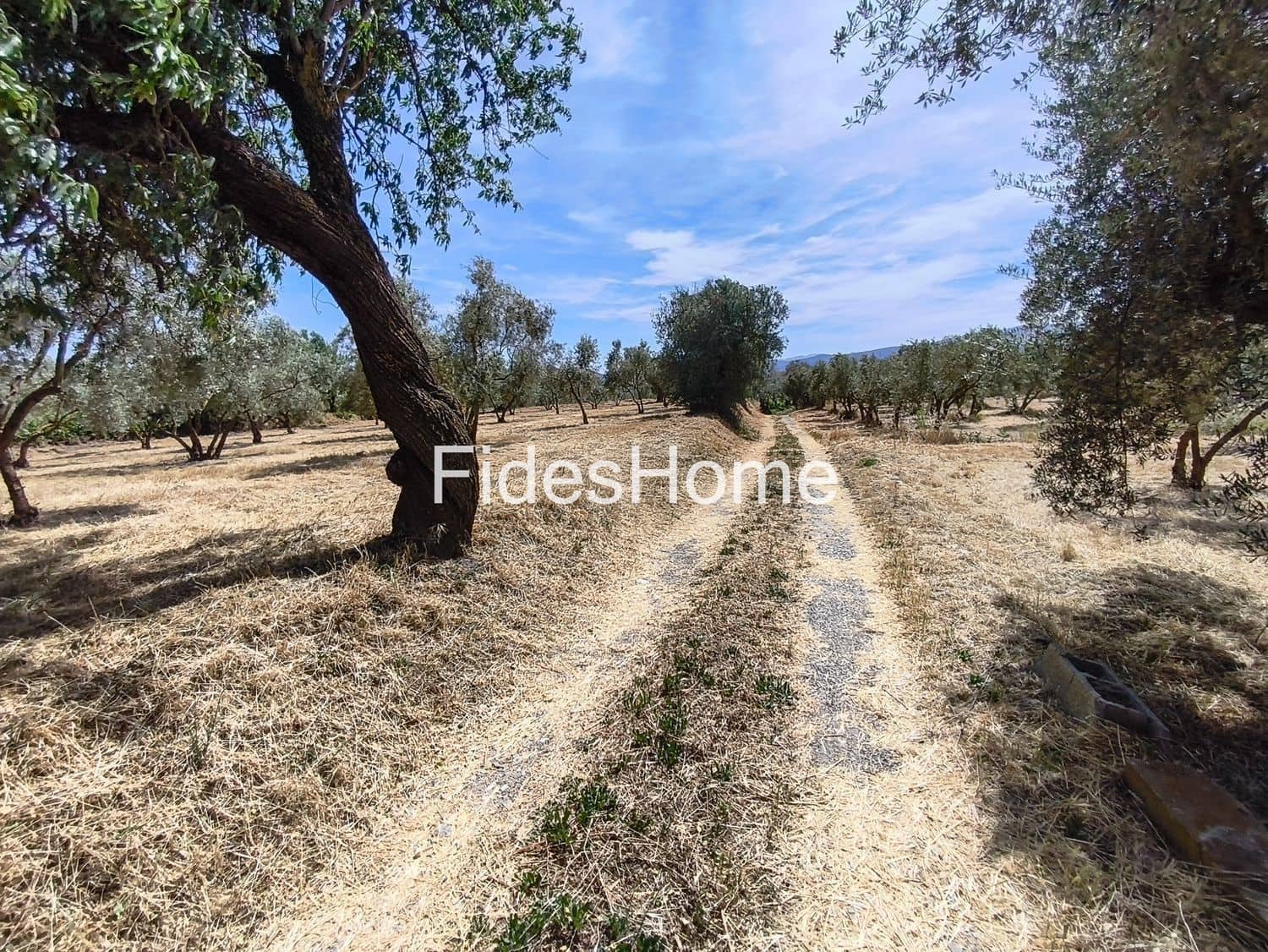 Terre non Aménagée à vendre à Niguelas - 49 000 € (Ref: 10120431)