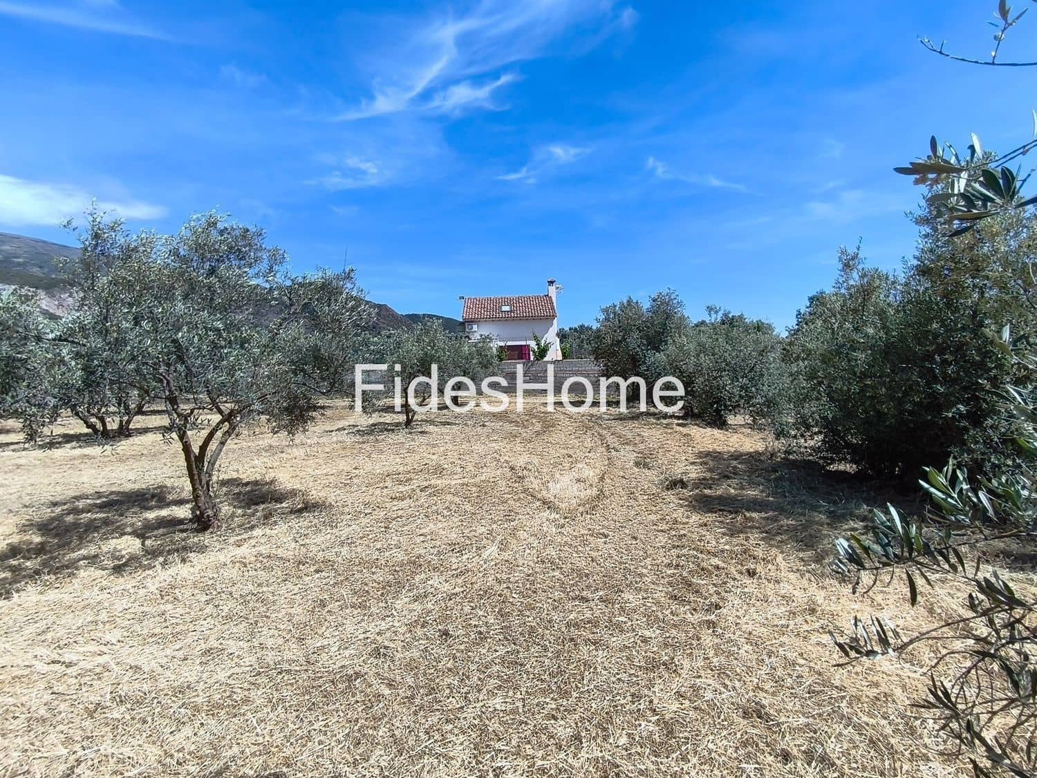 Terre non Aménagée à vendre à Niguelas - 49 000 € (Ref: 10120431)