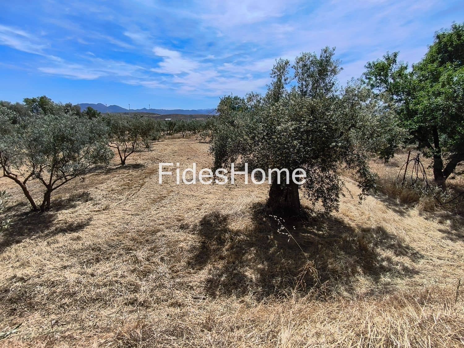 Terre non Aménagée à vendre à Niguelas - 49 000 € (Ref: 10120431)