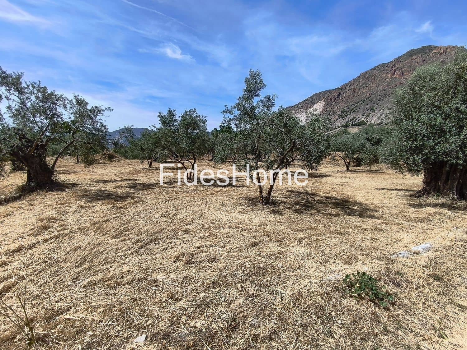 Terre non Aménagée à vendre à Niguelas - 49 000 € (Ref: 10120431)