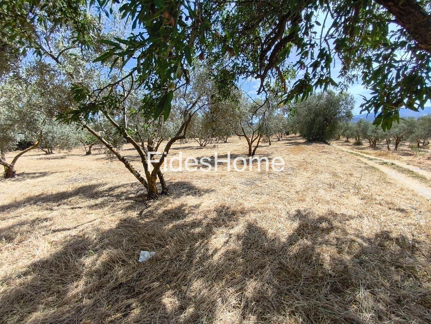 Terre non Aménagée à vendre à Niguelas - 49 000 € (Ref: 10120431)