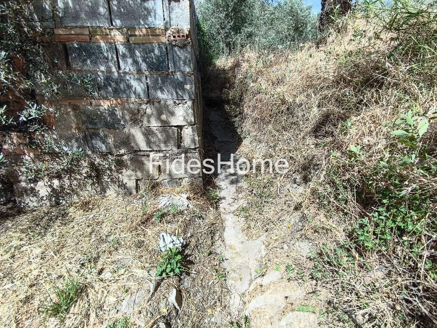 Terre non Aménagée à vendre à Niguelas - 49 000 € (Ref: 10120431)