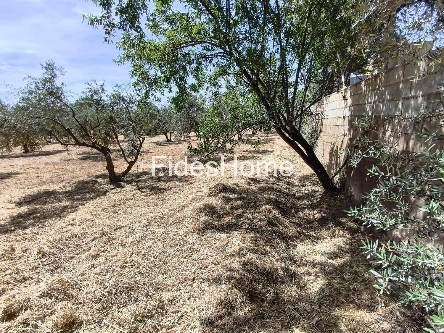 Terre non Aménagée à vendre à Niguelas - 49 000 € (Ref: 10120431)