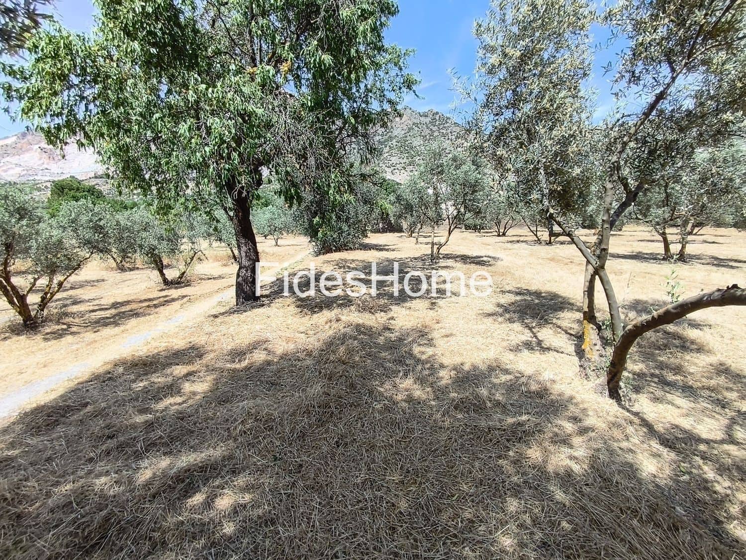 Terre non Aménagée à vendre à Niguelas - 49 000 € (Ref: 10120431)