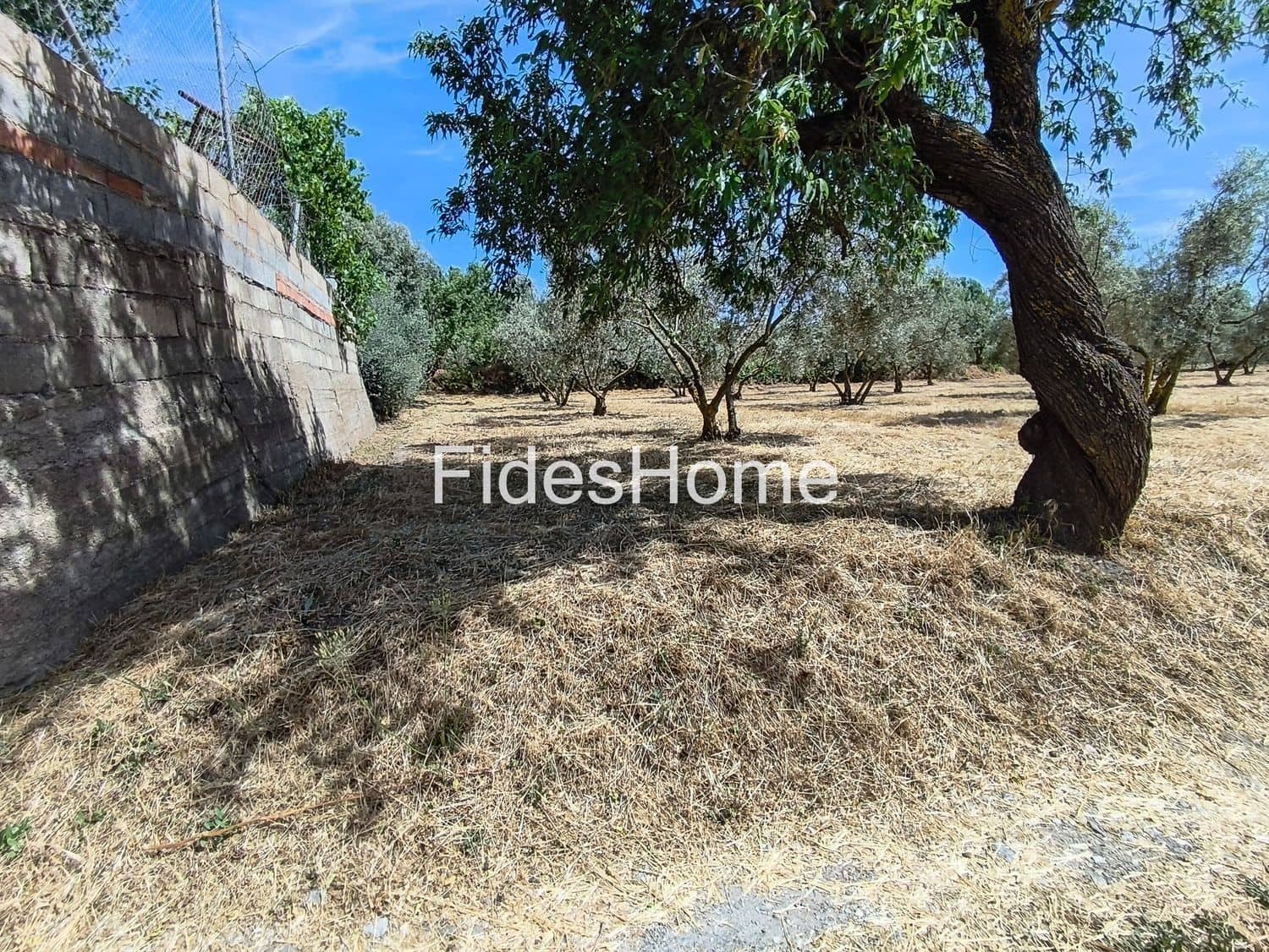 Terre non Aménagée à vendre à Niguelas - 49 000 € (Ref: 10120431)