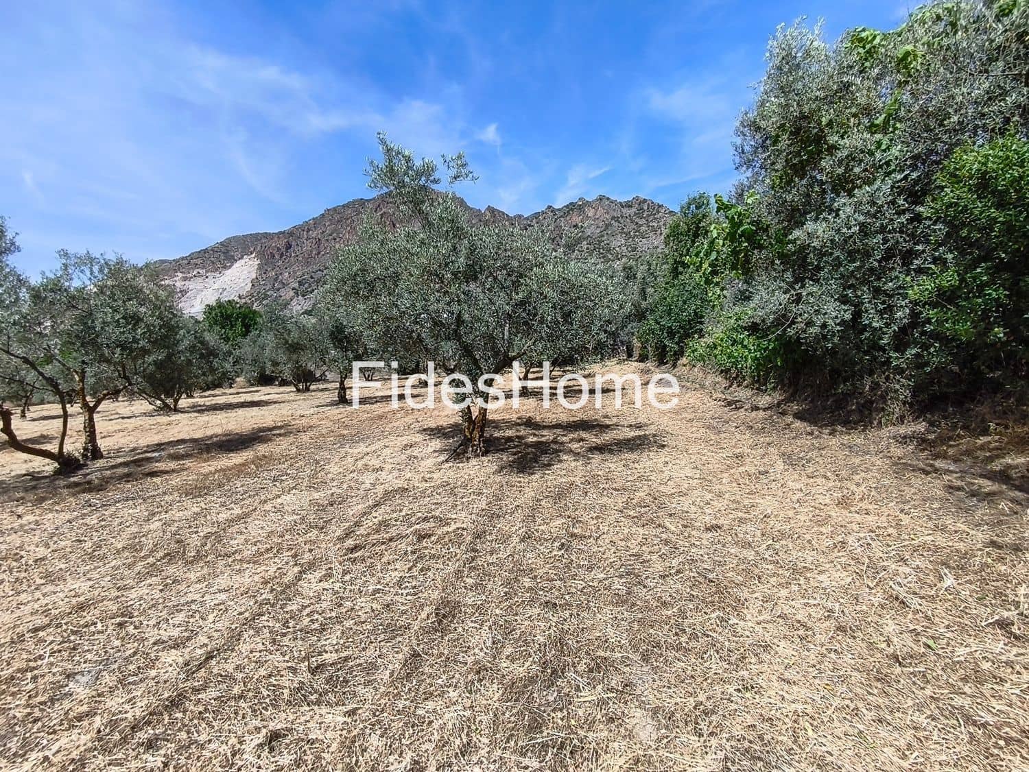 Terre non Aménagée à vendre à Niguelas - 49 000 € (Ref: 10120431)