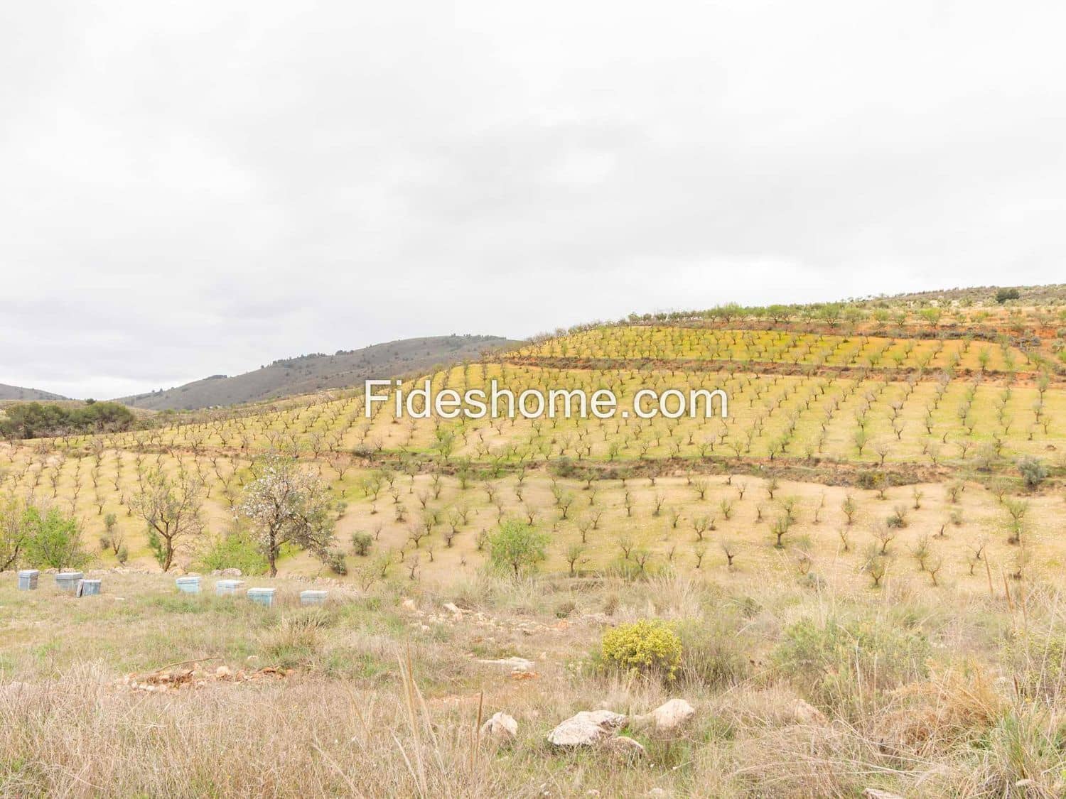 7 camera da letto Finca/Casa di Campagna in vendita in Cozvijar con piscina - 795.000 € (Rif: 10120437)