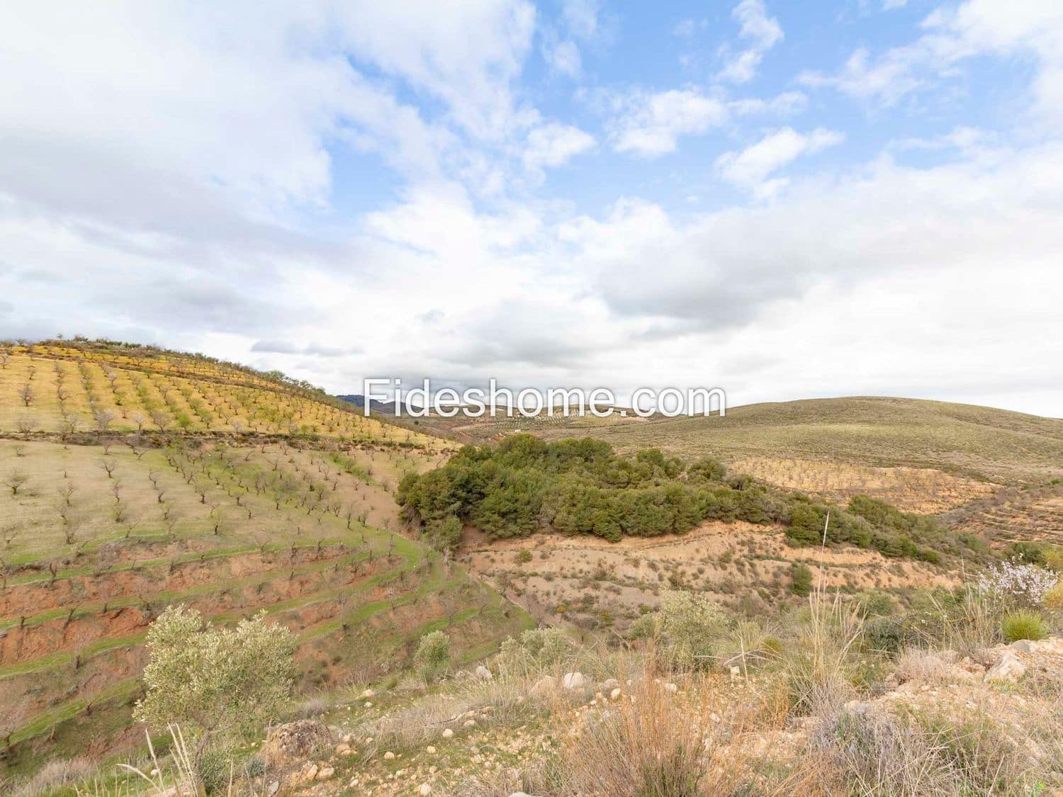 7 camera da letto Finca/Casa di Campagna in vendita in Cozvijar con piscina - 795.000 € (Rif: 10120437)