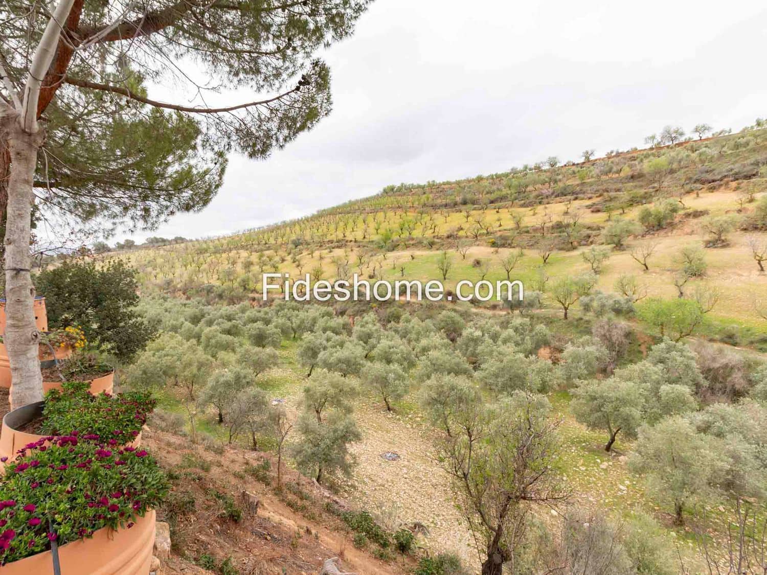 7 camera da letto Finca/Casa di Campagna in vendita in Cozvijar con piscina - 795.000 € (Rif: 10120437)