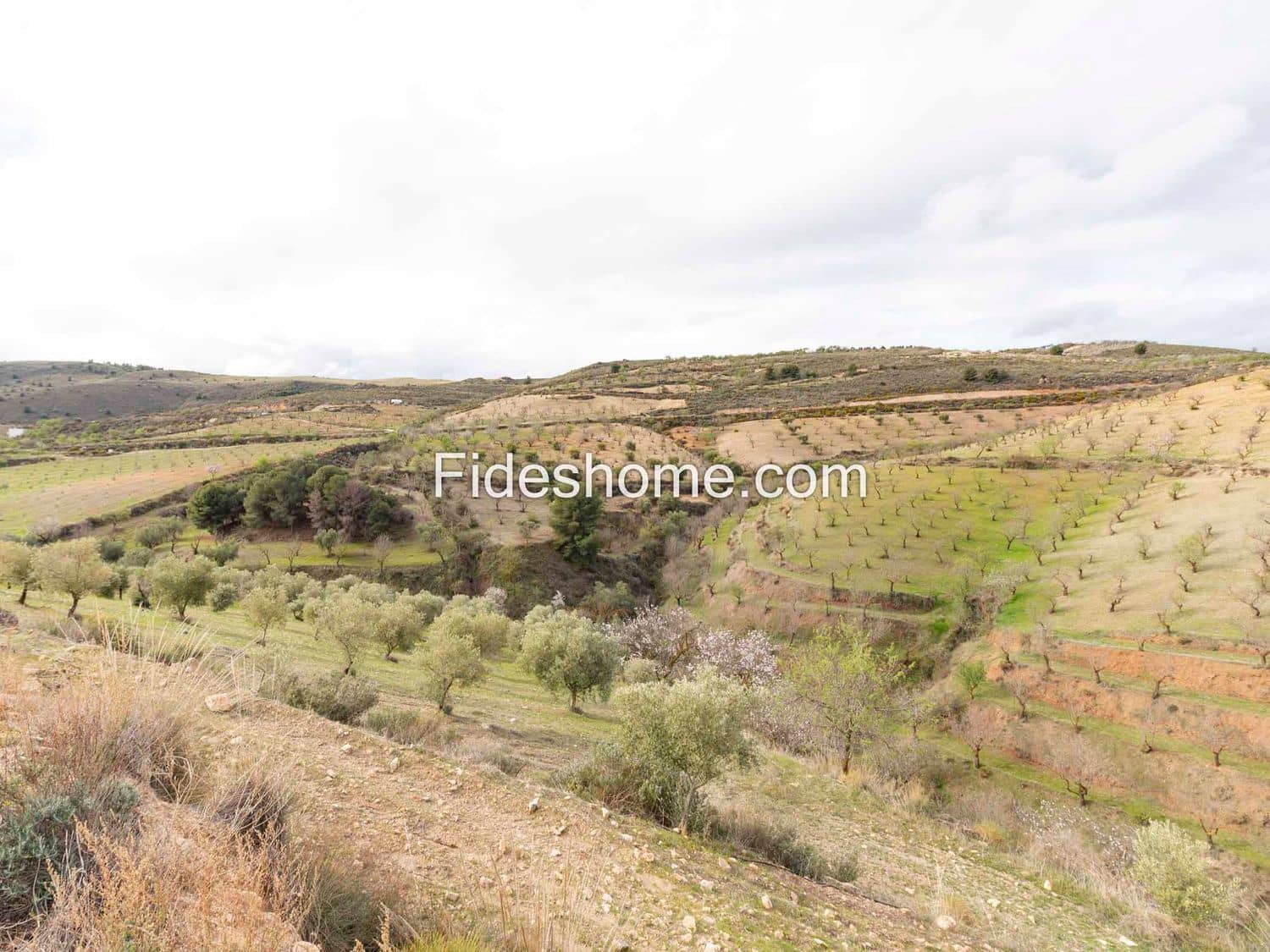 7 camera da letto Finca/Casa di Campagna in vendita in Cozvijar con piscina - 795.000 € (Rif: 10120437)