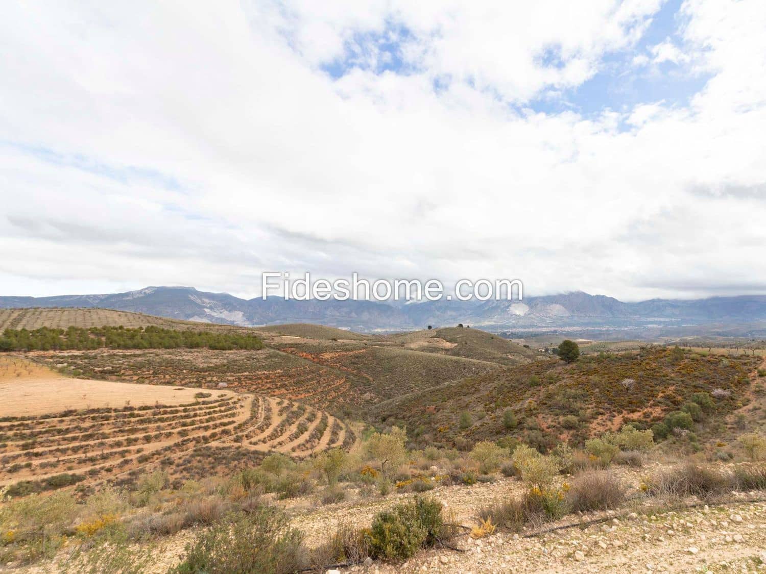 7 camera da letto Finca/Casa di Campagna in vendita in Cozvijar con piscina - 795.000 € (Rif: 10120437)