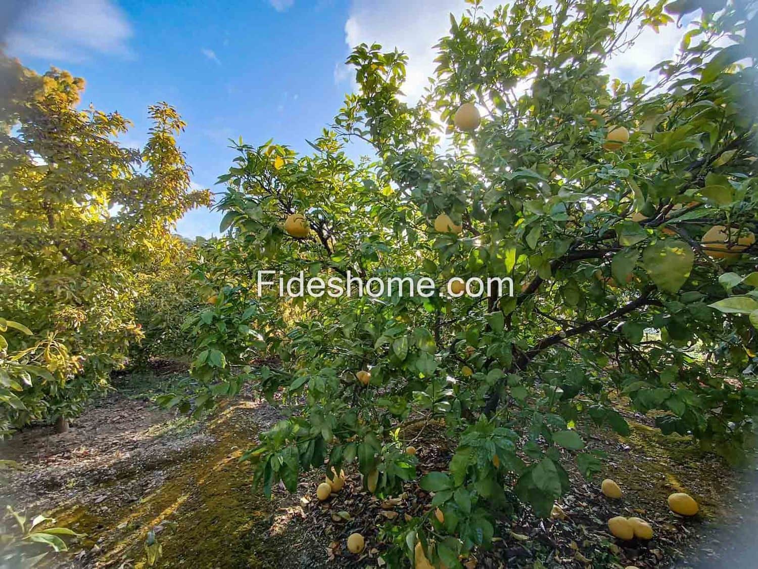 Undeveloped Land for sale in Albunuelas - € 20,000 (Ref: 10120445)