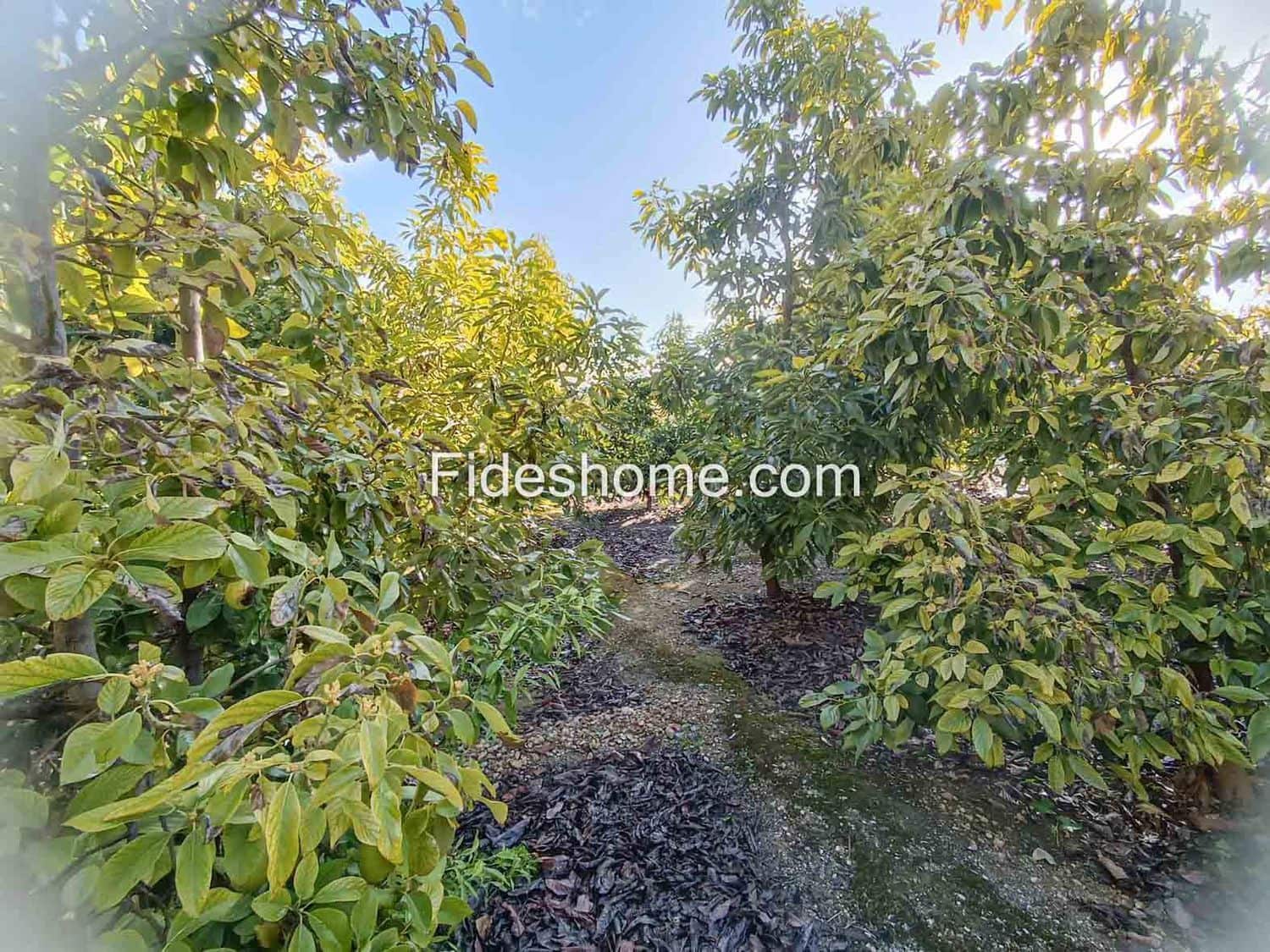 Undeveloped Land for sale in Albunuelas - € 20,000 (Ref: 10120445)