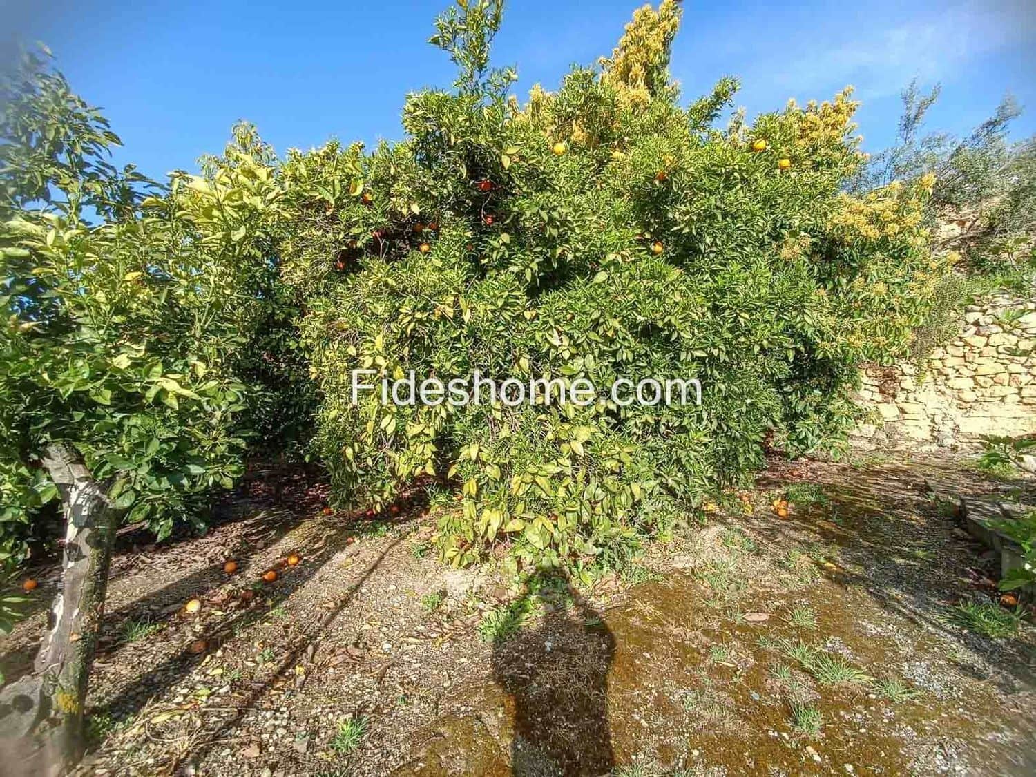 Undeveloped Land for sale in Albunuelas - € 20,000 (Ref: 10120445)