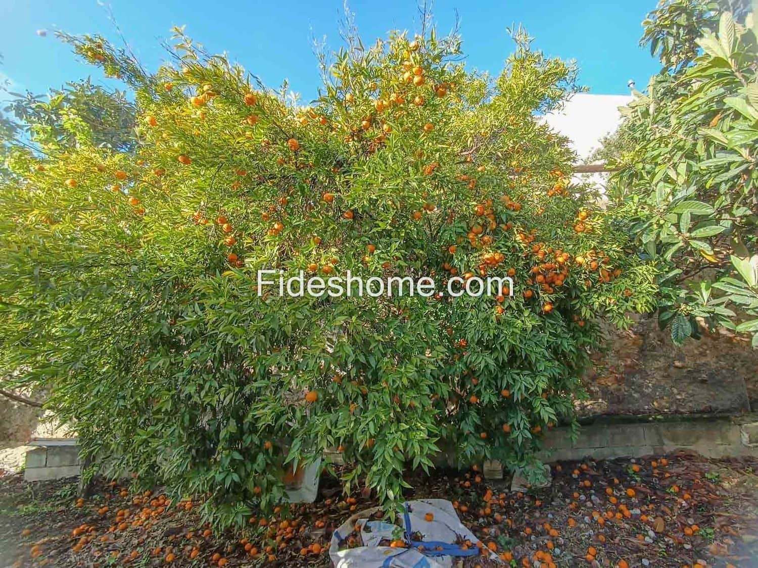Undeveloped Land for sale in Albunuelas - € 20,000 (Ref: 10120445)