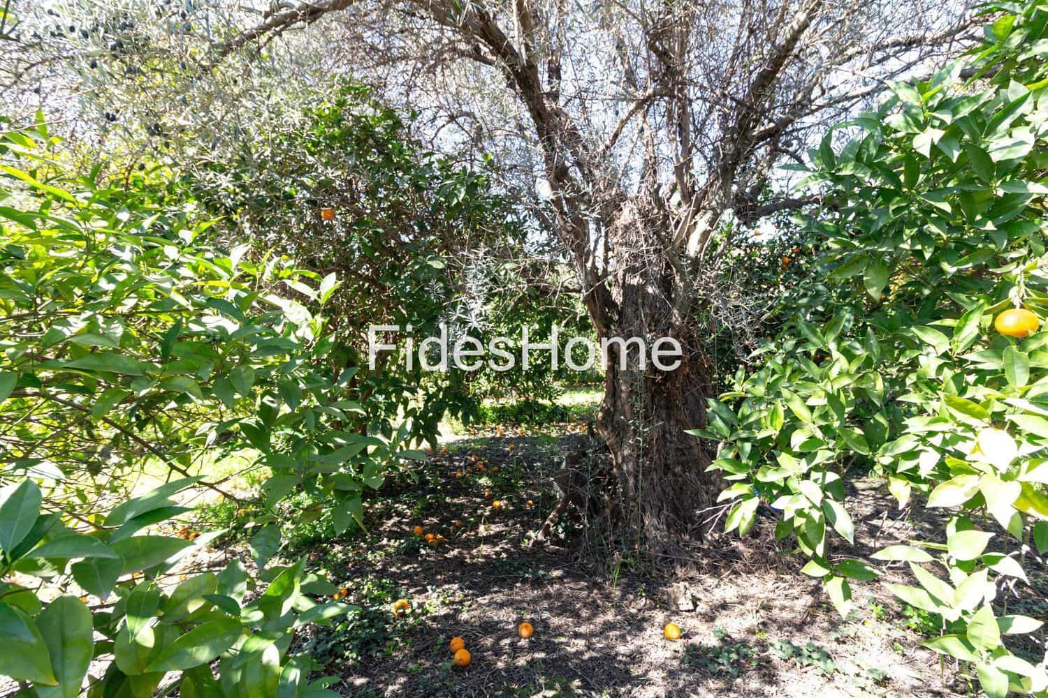 Ubebygd land til salgs i Lecrin - € 59 000 (Ref: 10120446)