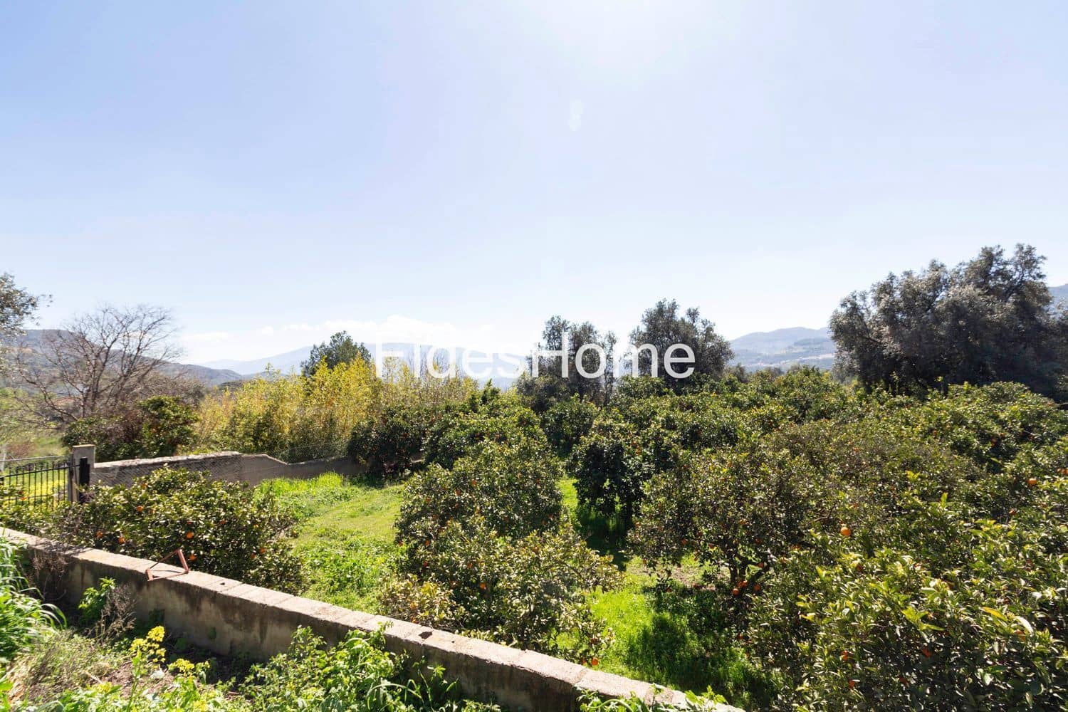 Ubebygd land til salgs i Lecrin - € 59 000 (Ref: 10120446)