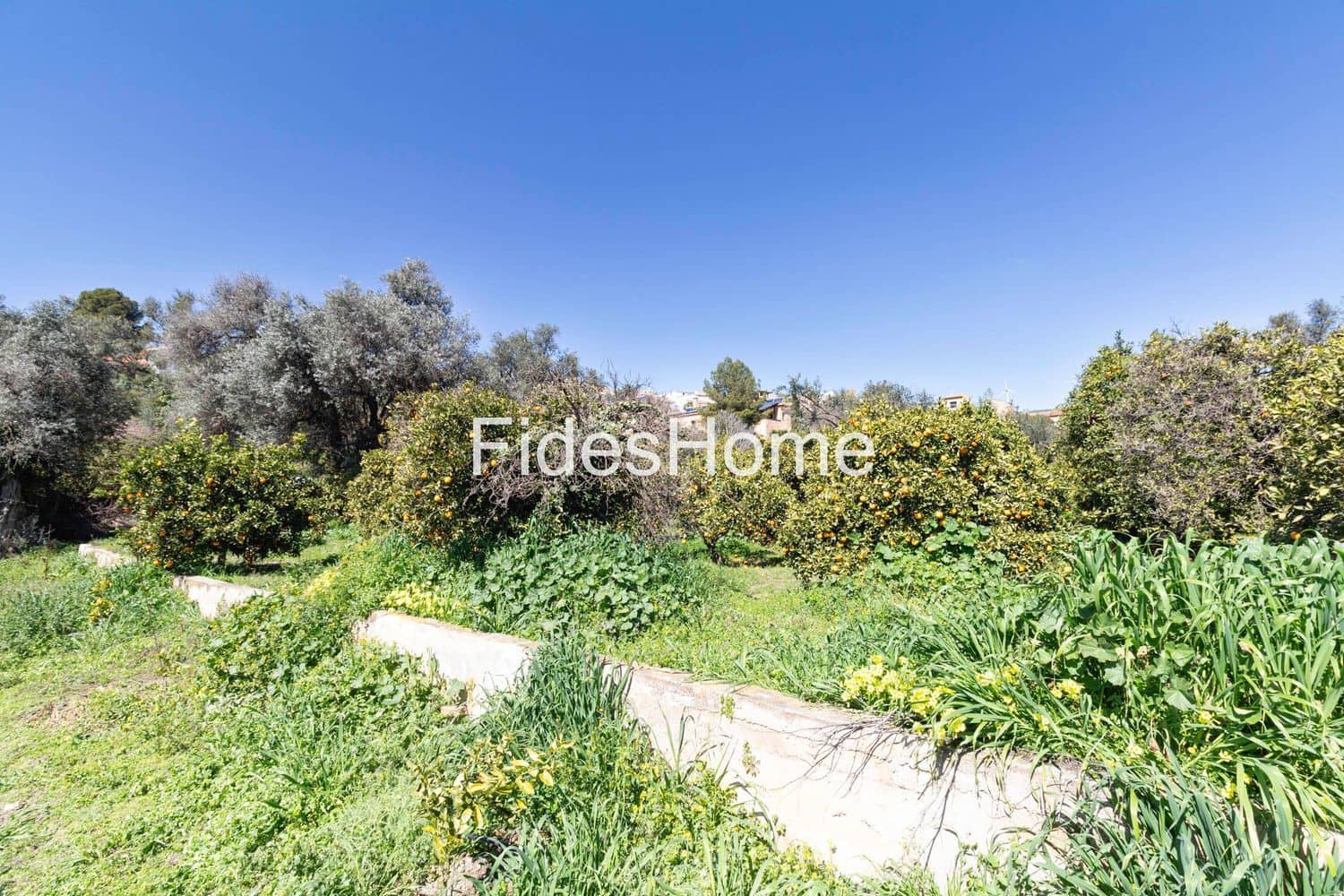 Ubebygd land til salgs i Lecrin - € 59 000 (Ref: 10120446)